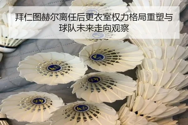 拜仁图赫尔离任后更衣室权力格局重塑与球队未来走向观察